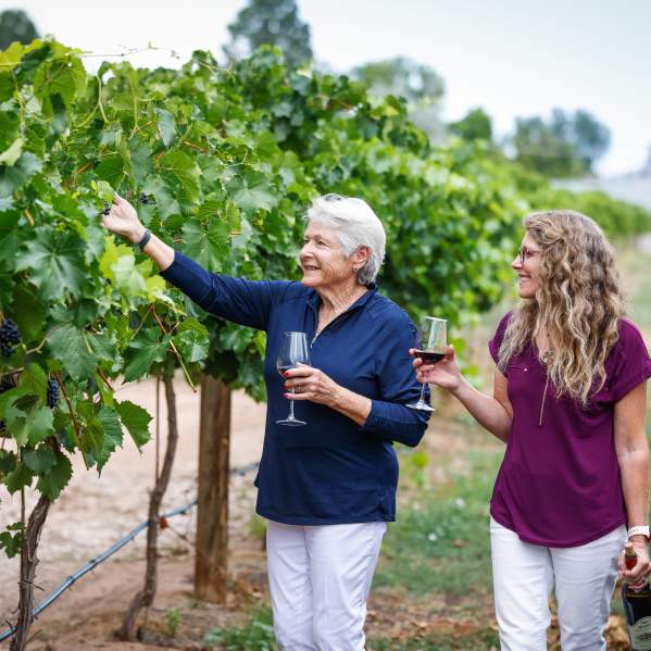 Wineries