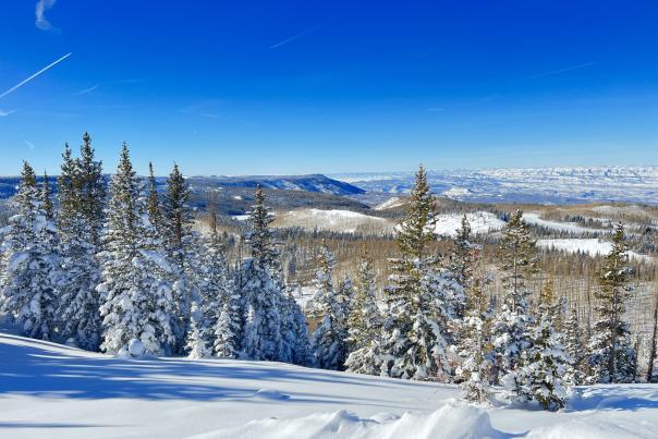 Scenic view of snow covered trees and the plateau of the Grand Mesa