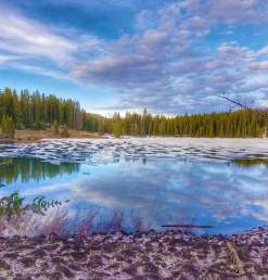 Lake on the Grand Mesa in the Spring