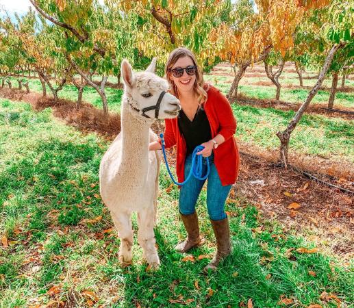 Woman Standing with an Alpaca at Suncrest Orchard